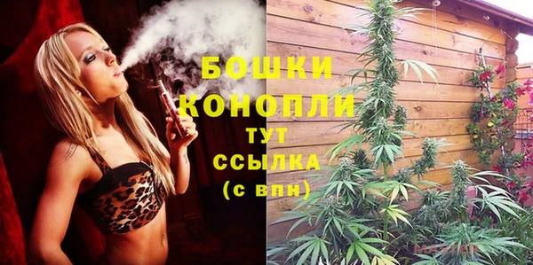 ПСИЛОЦИБИНОВЫЕ ГРИБЫ Абдулино
