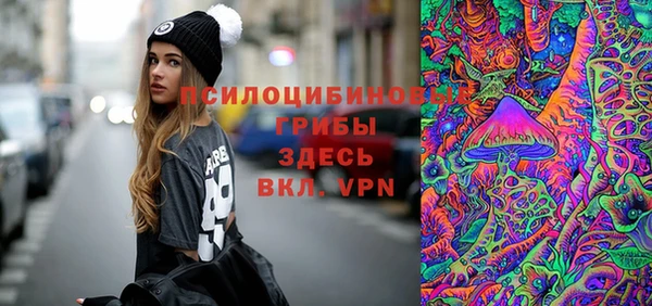 ПСИЛОЦИБИНОВЫЕ ГРИБЫ Абдулино