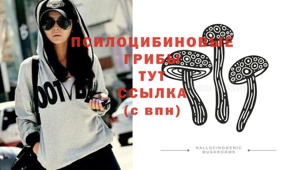 СК Абинск