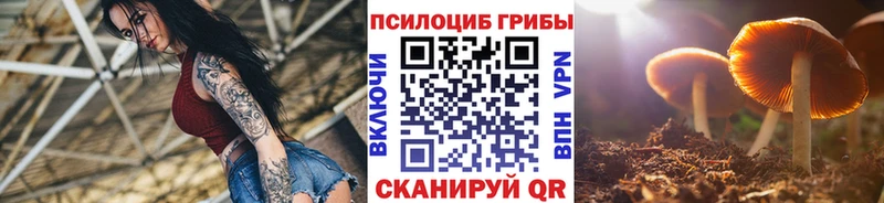 продажа наркотиков  Азнакаево  Галлюциногенные грибы прущие грибы 