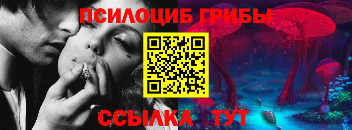 Галлюциногенные грибы Psilocybine cubensis  Вход с VPN  Азнакаево  что такое наркотик  Галлюциногенные грибы ЛСД 